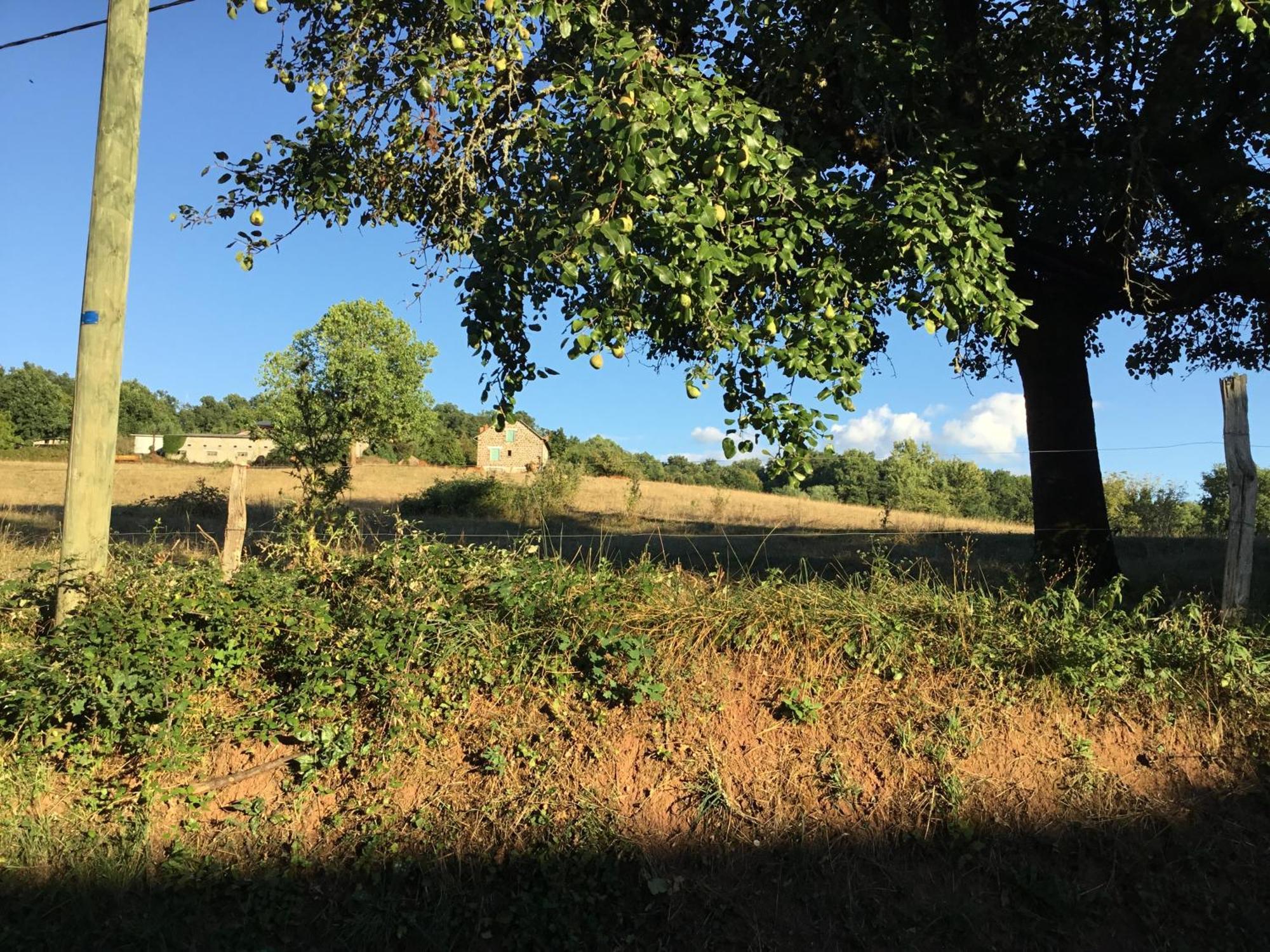 Le Clos De Rose Ussac Екстер'єр фото